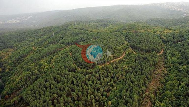 İzmir Qubernatorluğu tarixlə açıqladı Meşəlik ərazilərə giriş qadağandır