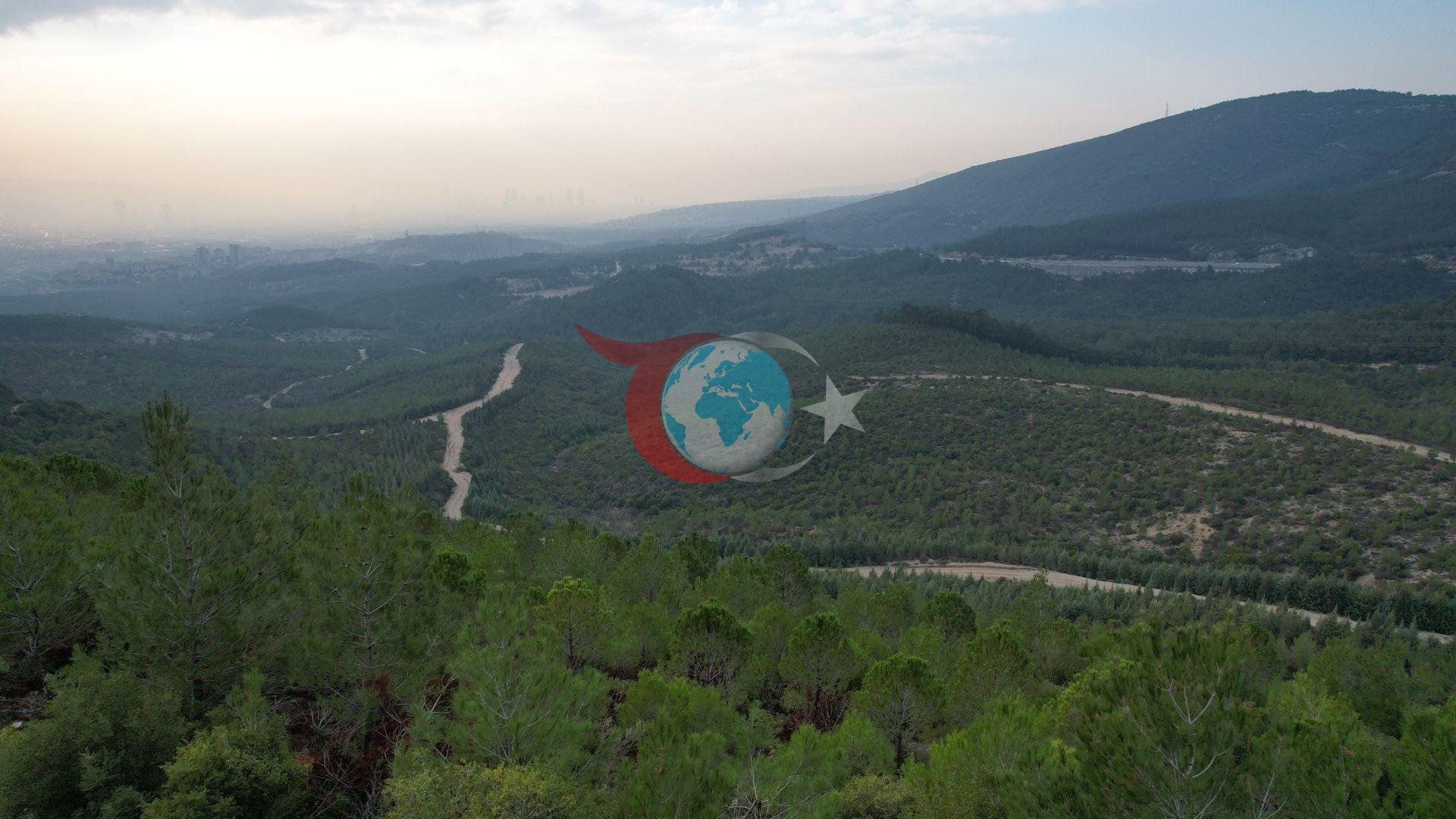 İzmir'de Ormanlara Giriş 5 Ay Süreyle Yasaklandı