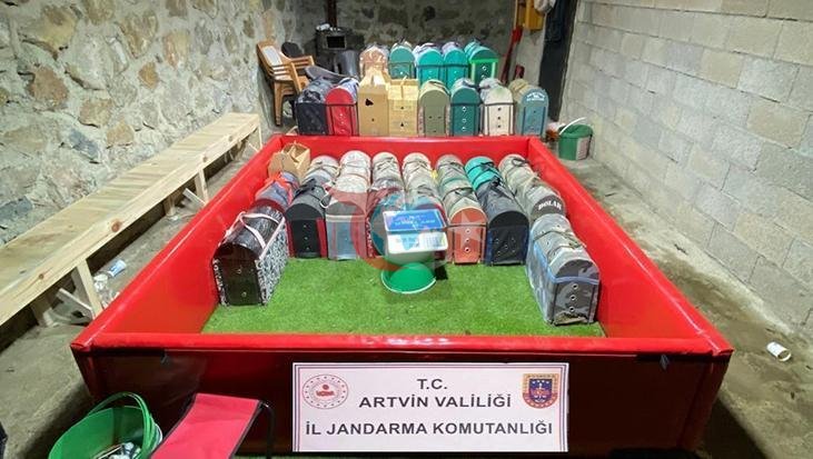 Artvin'de Yasa Dışı Horoz Dövüşü Operasyonu: 39 Kişiye Para Cezası
