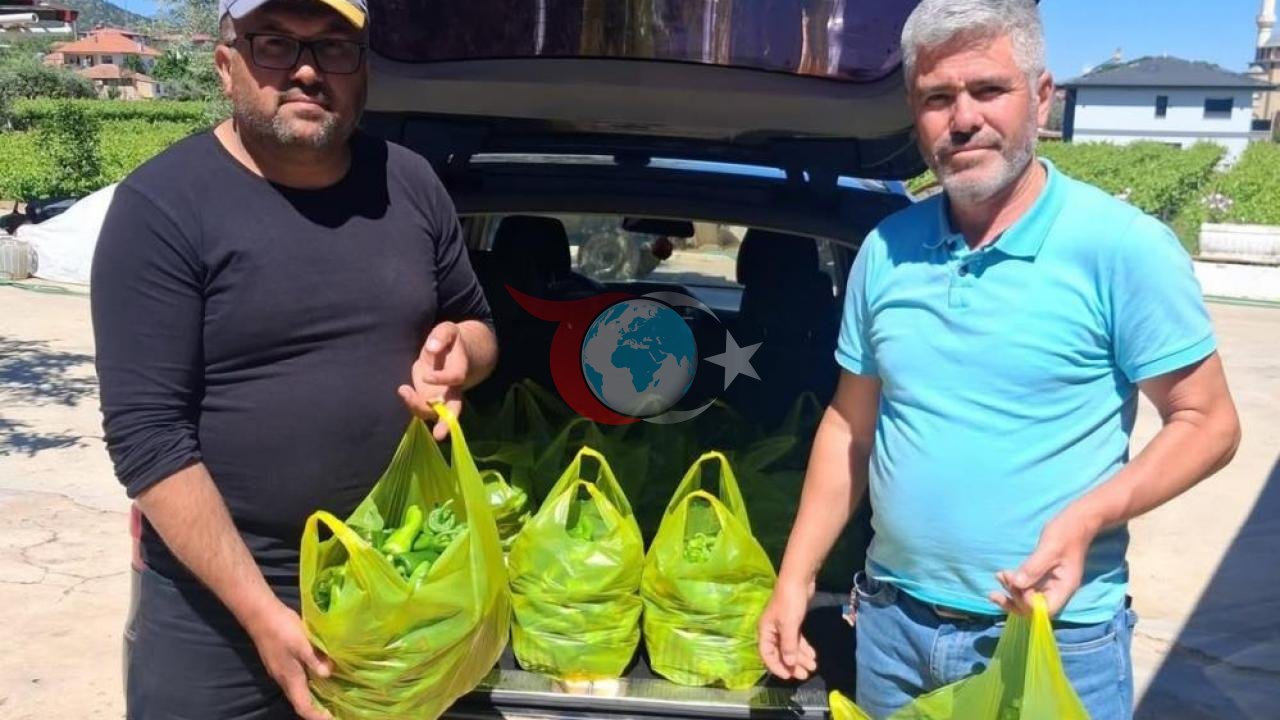 Gurbetçilerin Tercihi: Emcelli Biberi Almanya Yolunda
