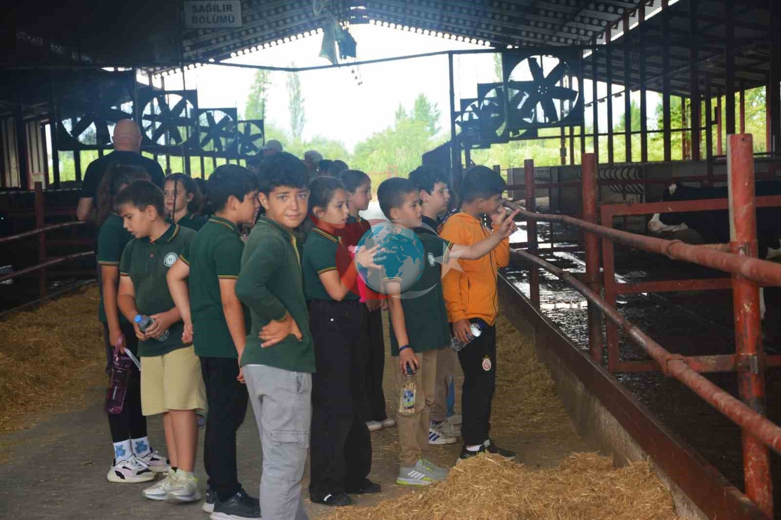 Edremit'te Çocuklar Dünya Süt Günü'nde Çiftlik Eğitimi Aldı