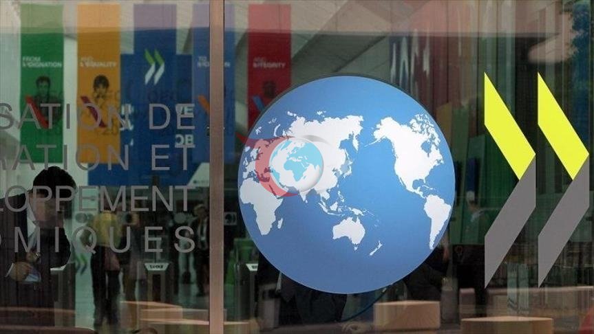 OECD Raporu: 2024'te Sanayi Teşvikleri Zirve Yapıyor