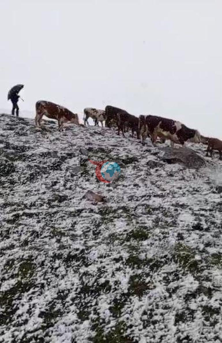 Yaz ortasında kar Yaylada bir anda bastırdı, her yer beyaza büründü