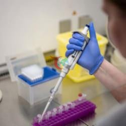 'Hantavirus' dünyada panik! AB-dən diqqətəlayiq addım: Onlar yeni epidemiyaya hazırlaşırlarmı?