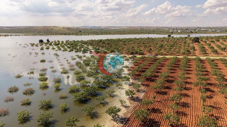 Gaziantep'te Sel Felaketi: Fıstık Bahçeleri Sular Altında