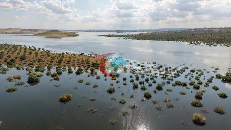 Qaziantepdə fəlakətin izi havadan göründü. 50 illik püstə ağacları 
