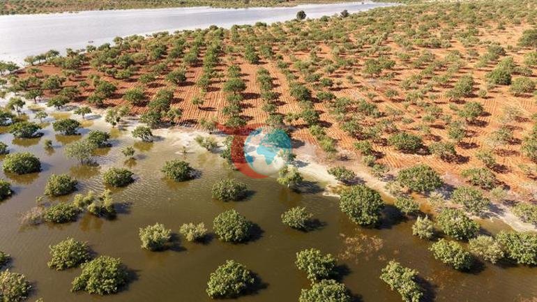 Gaziantep’te felaketin izi havadan görüntülendi 50 yıllık fıstık ağaçları sular altında kaldı