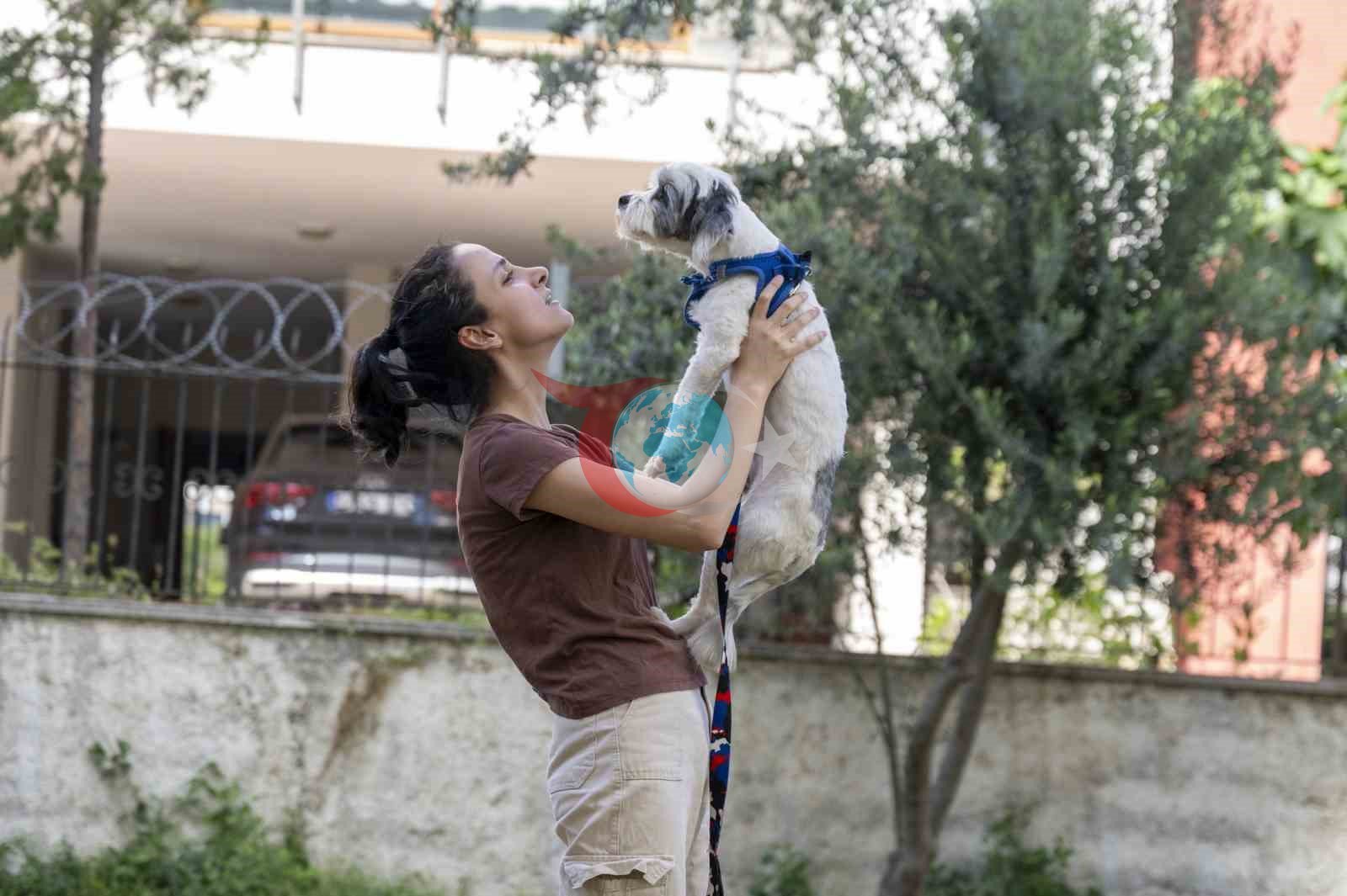 Mersin'de Binlerce Köpek Yeni Yuvalarına Kavuştu
