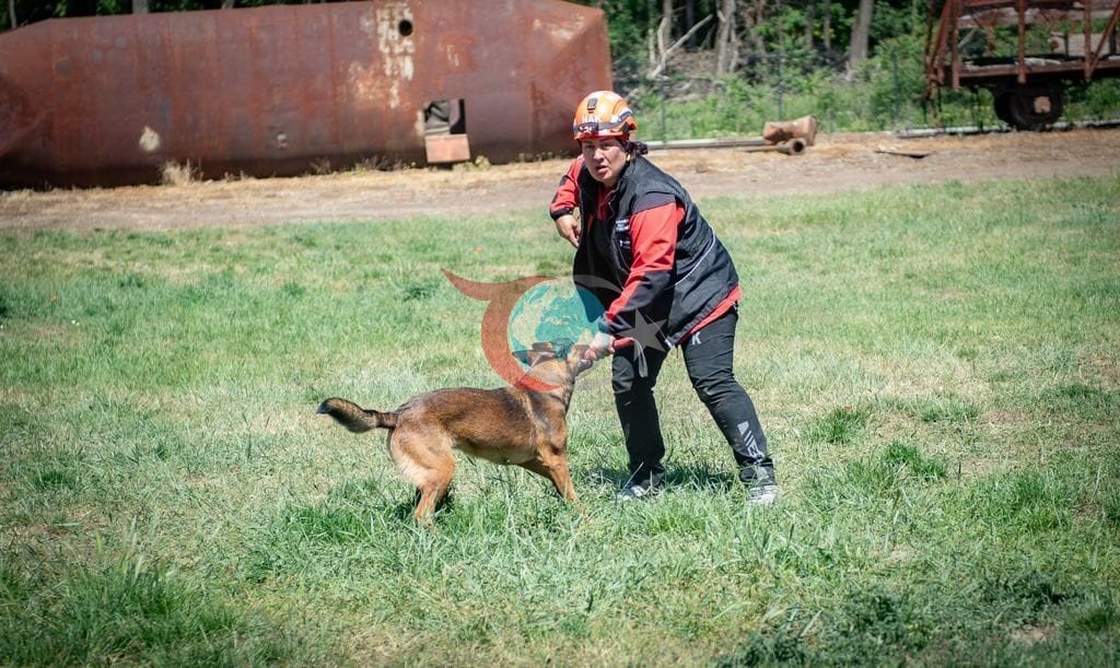 Muğla NAK Arama Köpekleri Macaristan'da Başarıya Koştu