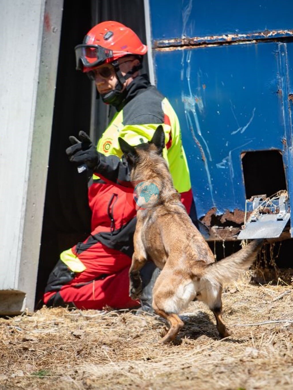 Muğla NAK Arama Kurtarma Köpekleri Macaristan’da sahaya indi