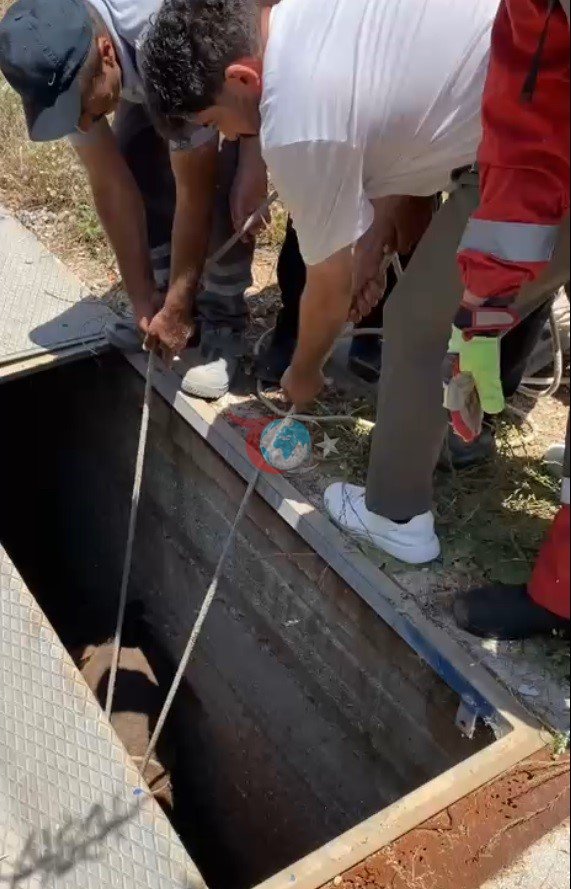 Bodrum'da Havalandırma Boşluğuna Düşen Eşek Kurtarıldı