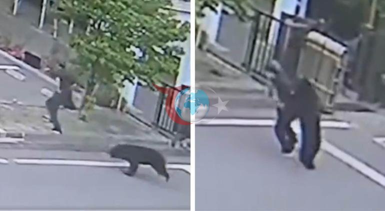 Japonyada ayı kabusu eğitime ara verdirdi Polisten OHAL açıklaması: Yaralılar var