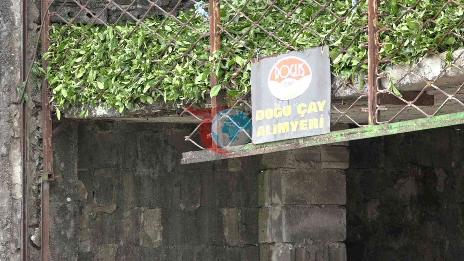 Çay üreticisinden özel sektöre fiyat tepkisi
