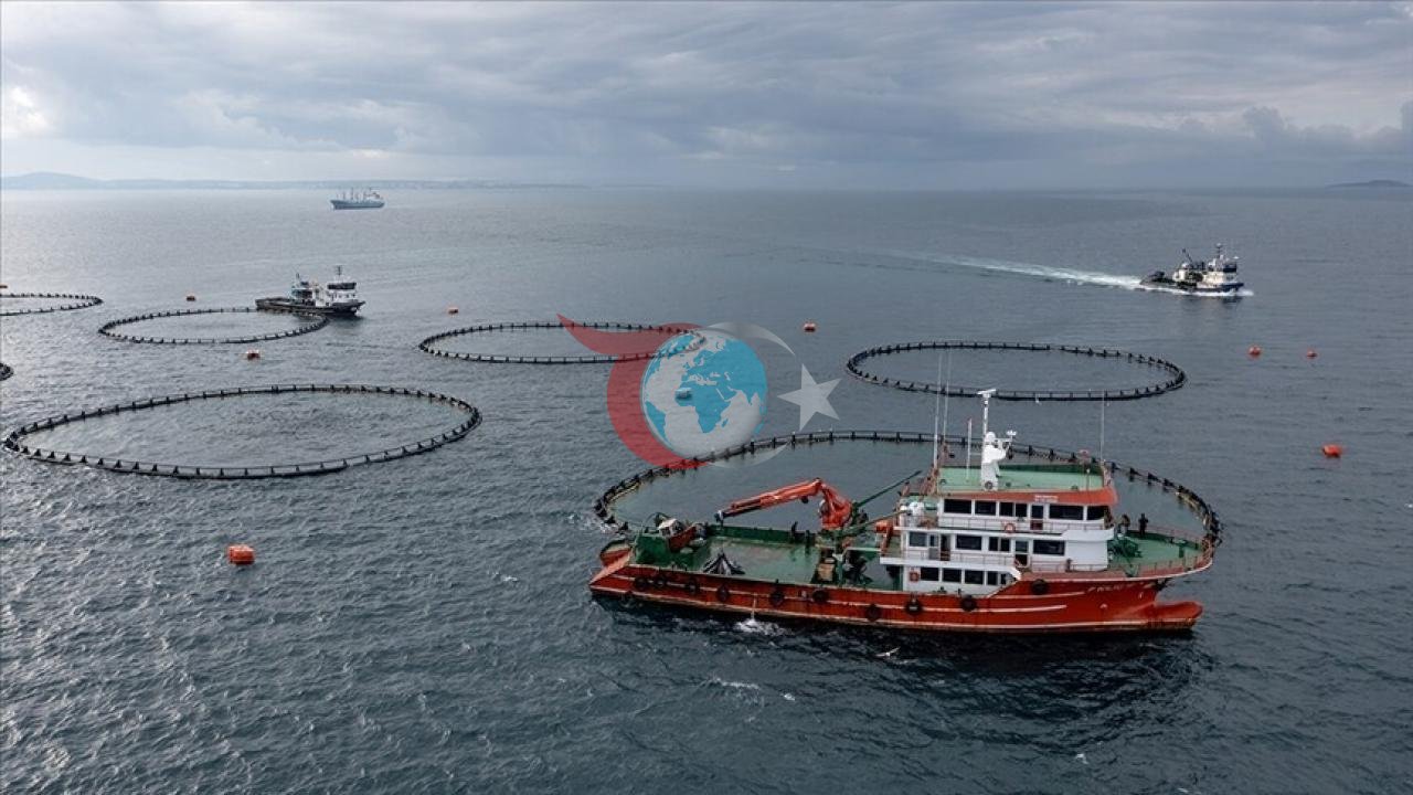 Rusiya Ermənistandan idxala yeni məhdudiyyətlər qoyub