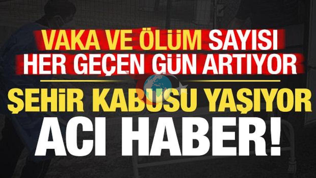 Sivasda gənə dişləməsi səbəbiylə talehsiz ölüm