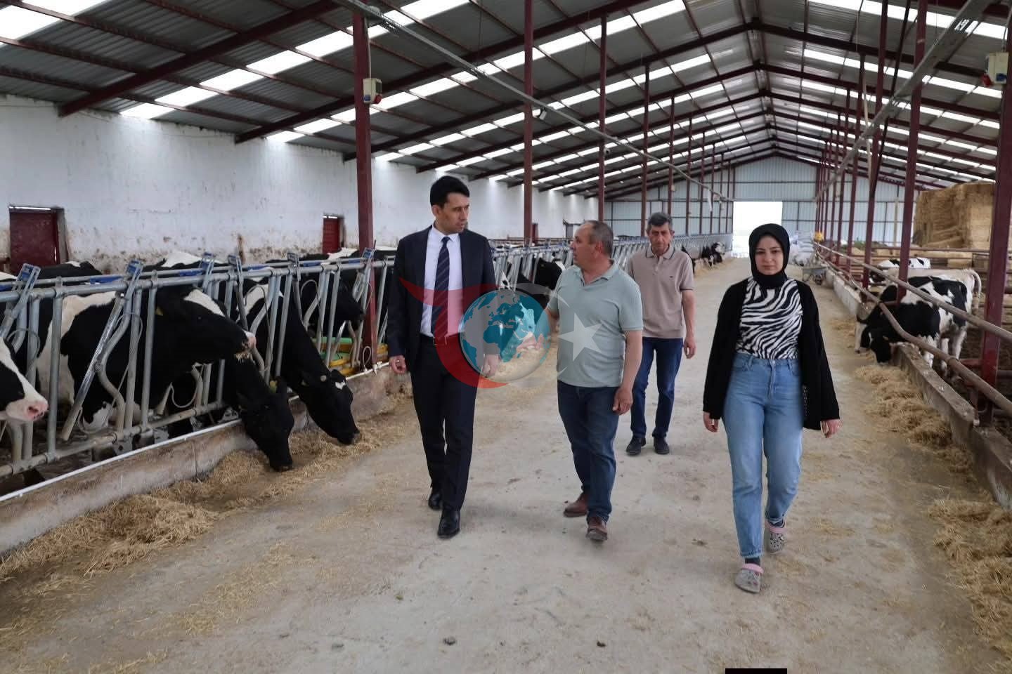 Beylikova Kaymakamı, Hayvancılık Çalışmalarını Yerinde İnceledi