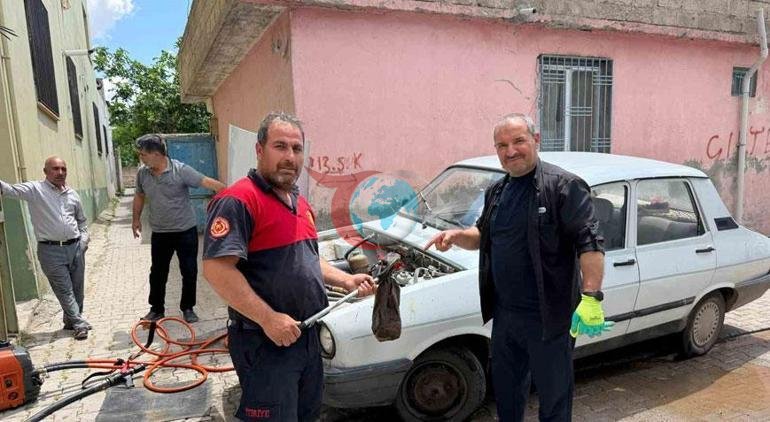 Diyarbəkirdə nəhəng ilan çaxnaşması: Fotonu görənlər belə dəhşətə gəldi
