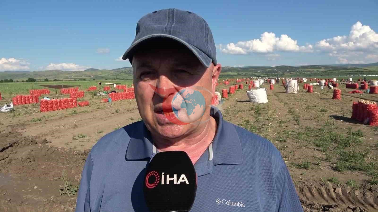 Амасияда пияздың бағасы 1 келіден 52 теңгеден басталды. class=
