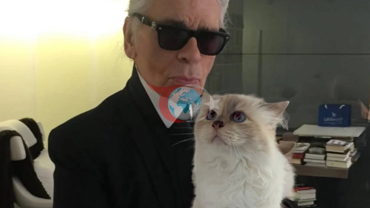 Mirası Bekleyen Kedi Choupette, Yedi Yıldır Tek Kuruş Alamadı