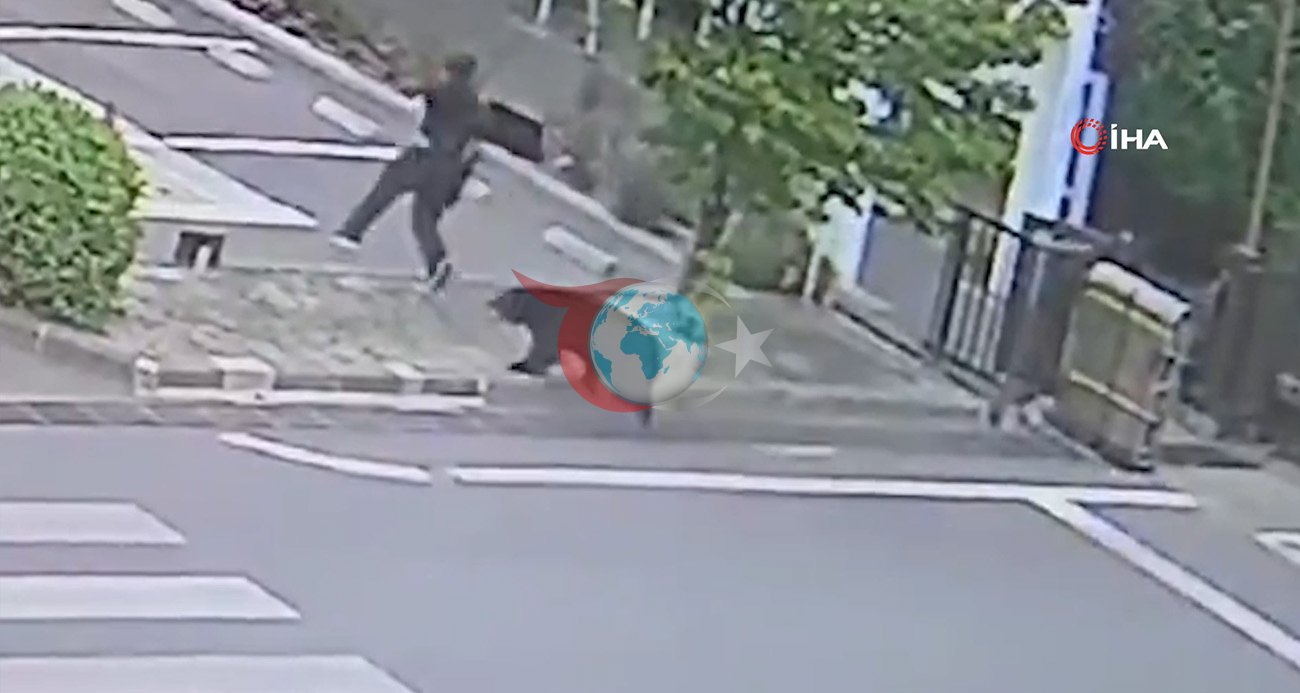 Yaponiyada ayı terroru: Fukusimada 4 nəfər yaralanıb