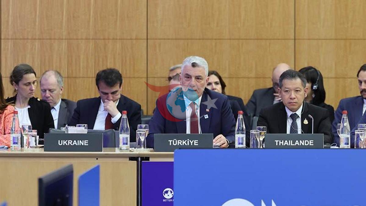 OECD Vazirlar Kengashida Turkiyaning iqtisodiy qarashlari
