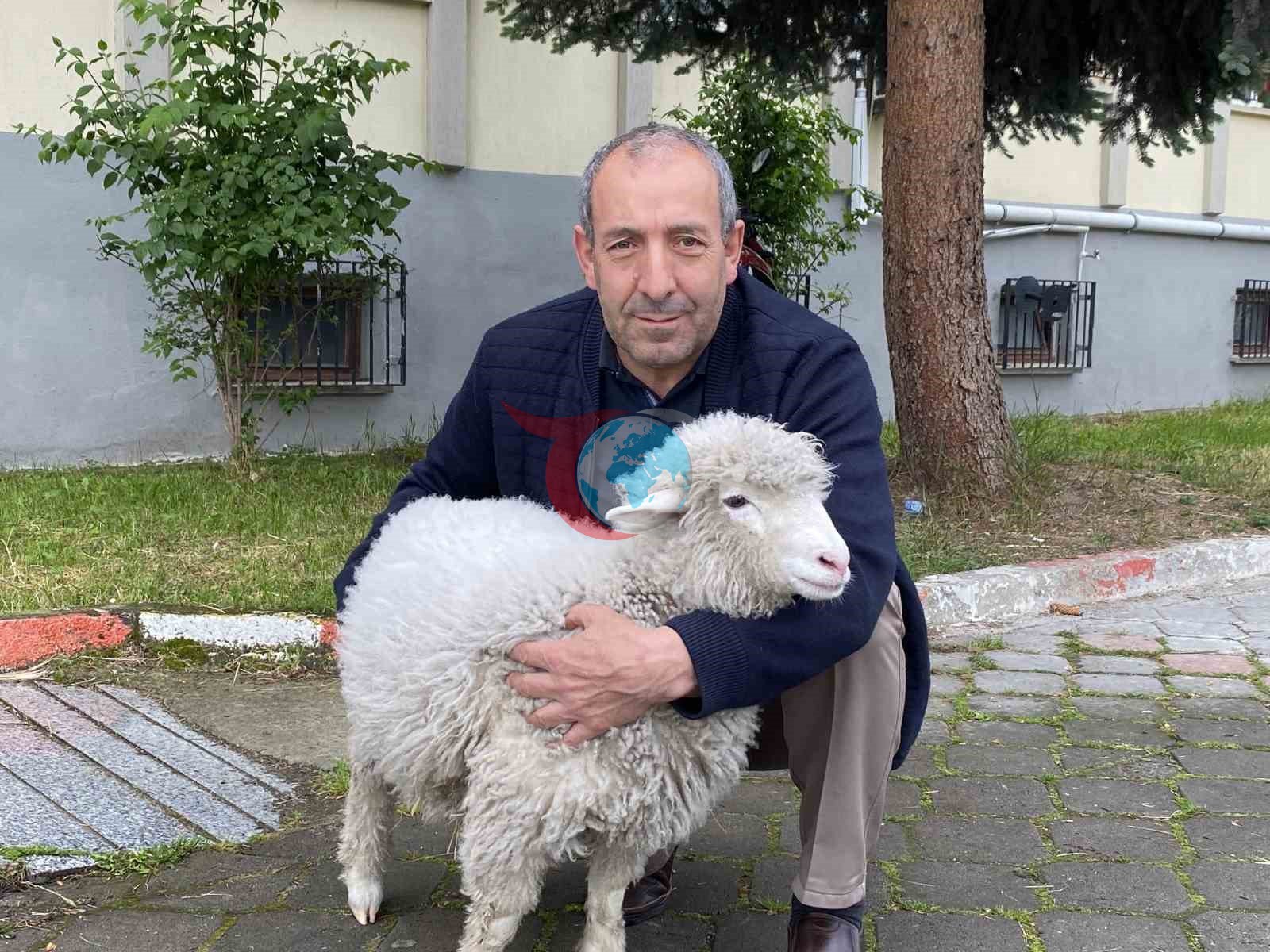 Kavak Adliyesi’nin İlgi Odağı: Sevimli Kuzu Tertip