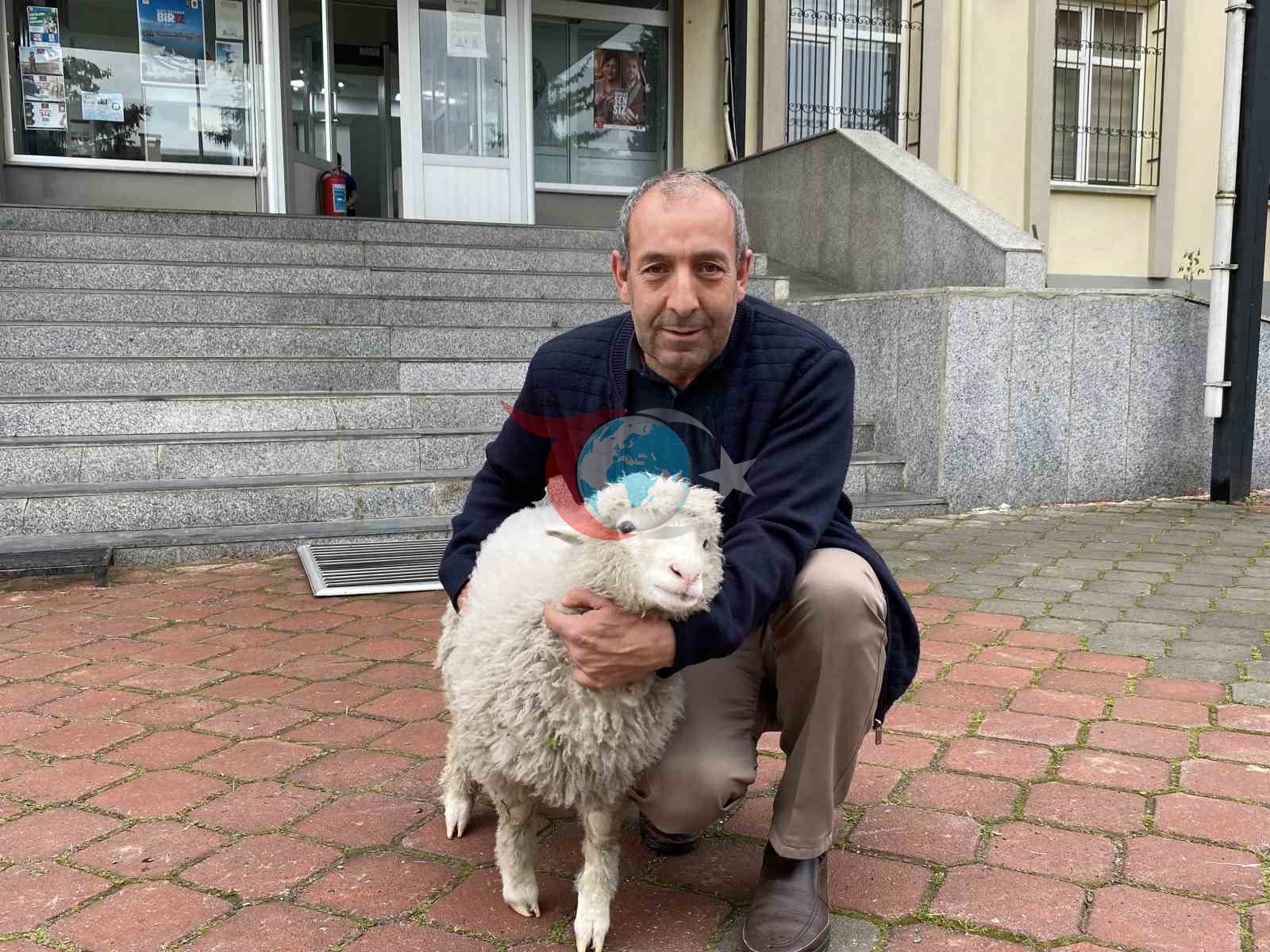Kavak Adliyesi&rsquo;nin sevimli maskotu: Kuzu Tertip
