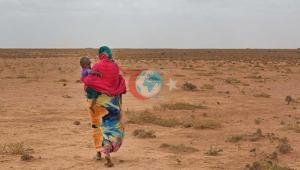 İsrailin Somalilandda 50 personala hərbi təlim verdiyi ortaya çıxdı. Bu, İsrailə verilən hərbçilərə böyük bir təlim verdiyi açıqlandı