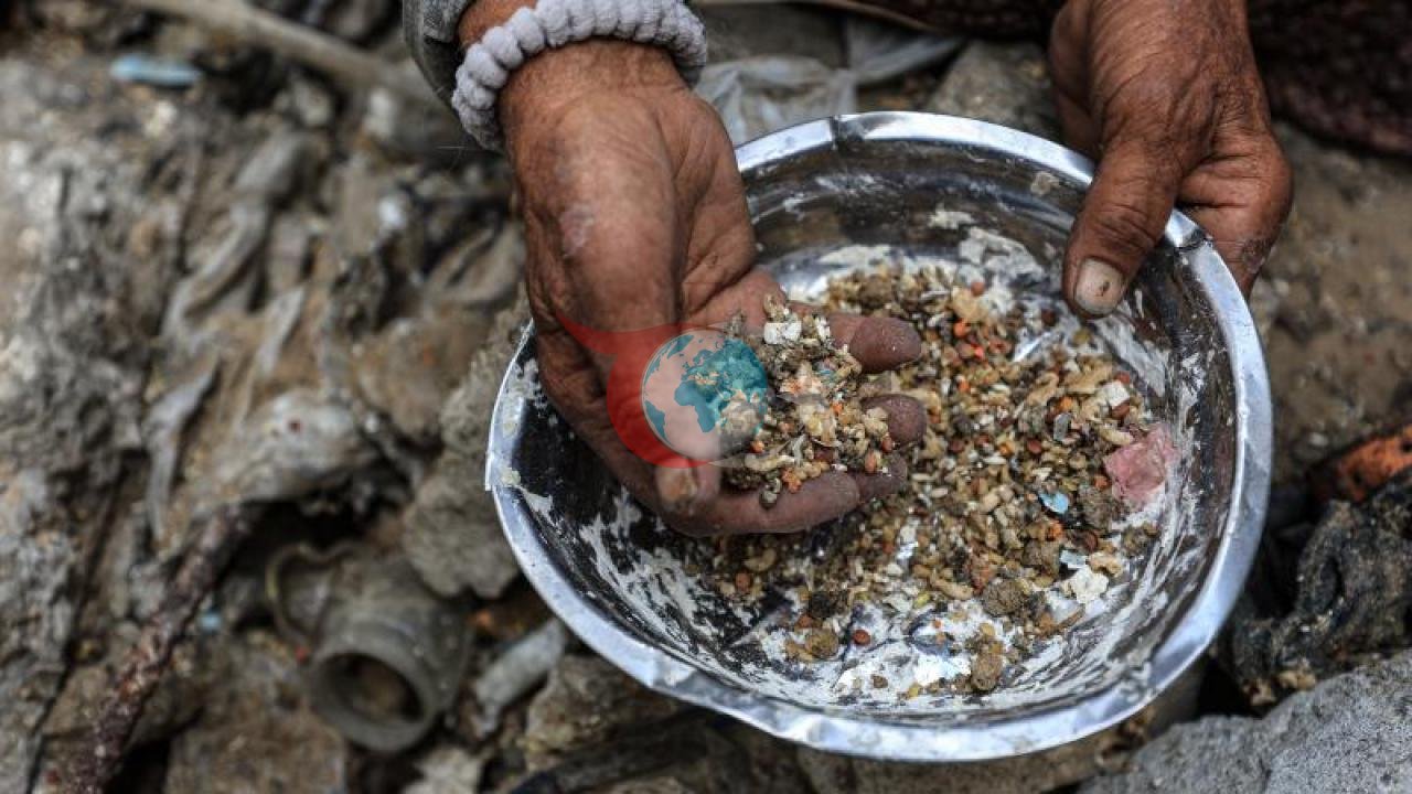 DSÖ: Küresel Gıda Güvenliği Tehlikede, Her 9 Kişiden 1'i Risk Altında