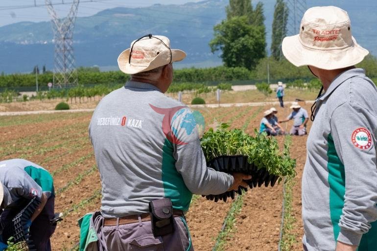 HEKTAŞ Genel Müdürü Terzi: 2026, Türk tarımı için büyüme yılı olacak