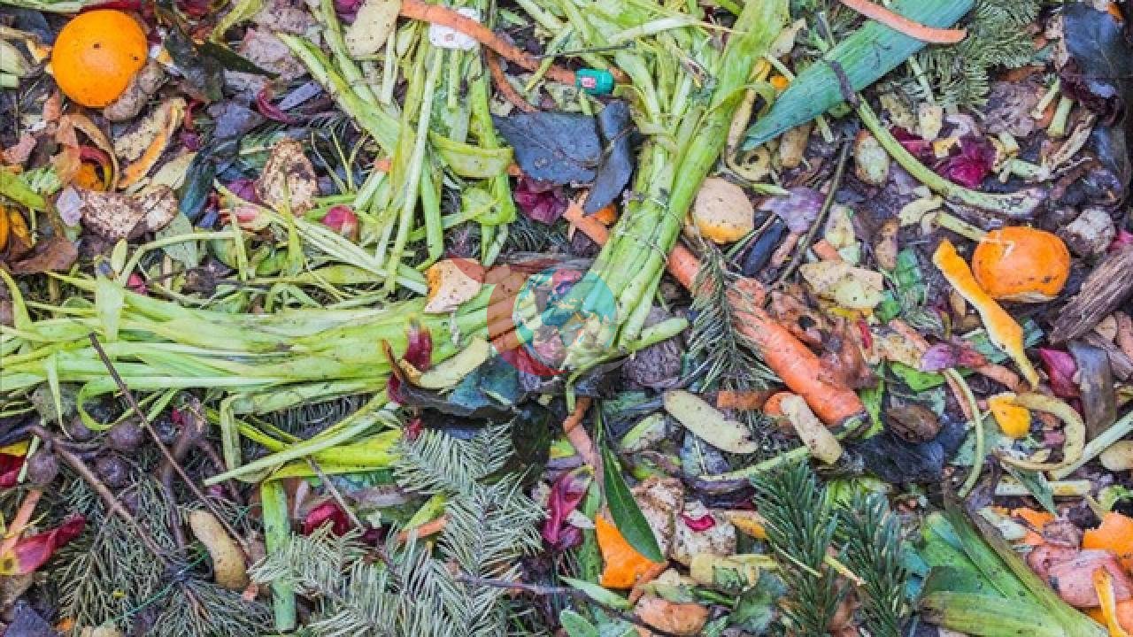 Gıda İsrafı: Her Üç Üründen Biri Sofralara Ulaşmıyor