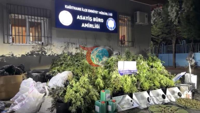 Güclü qoxu həqiqəti üzə çıxardı. Evin içindən 30 milyon lirə dəyərində mexanizm tapıldı