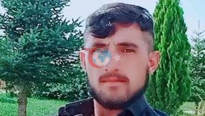 Heyvan otararkən az qala öləcəkdi