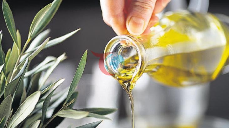 Zeytin ve Zeytinyağı Kalitesinde İklim Değişiklikleri Etkili