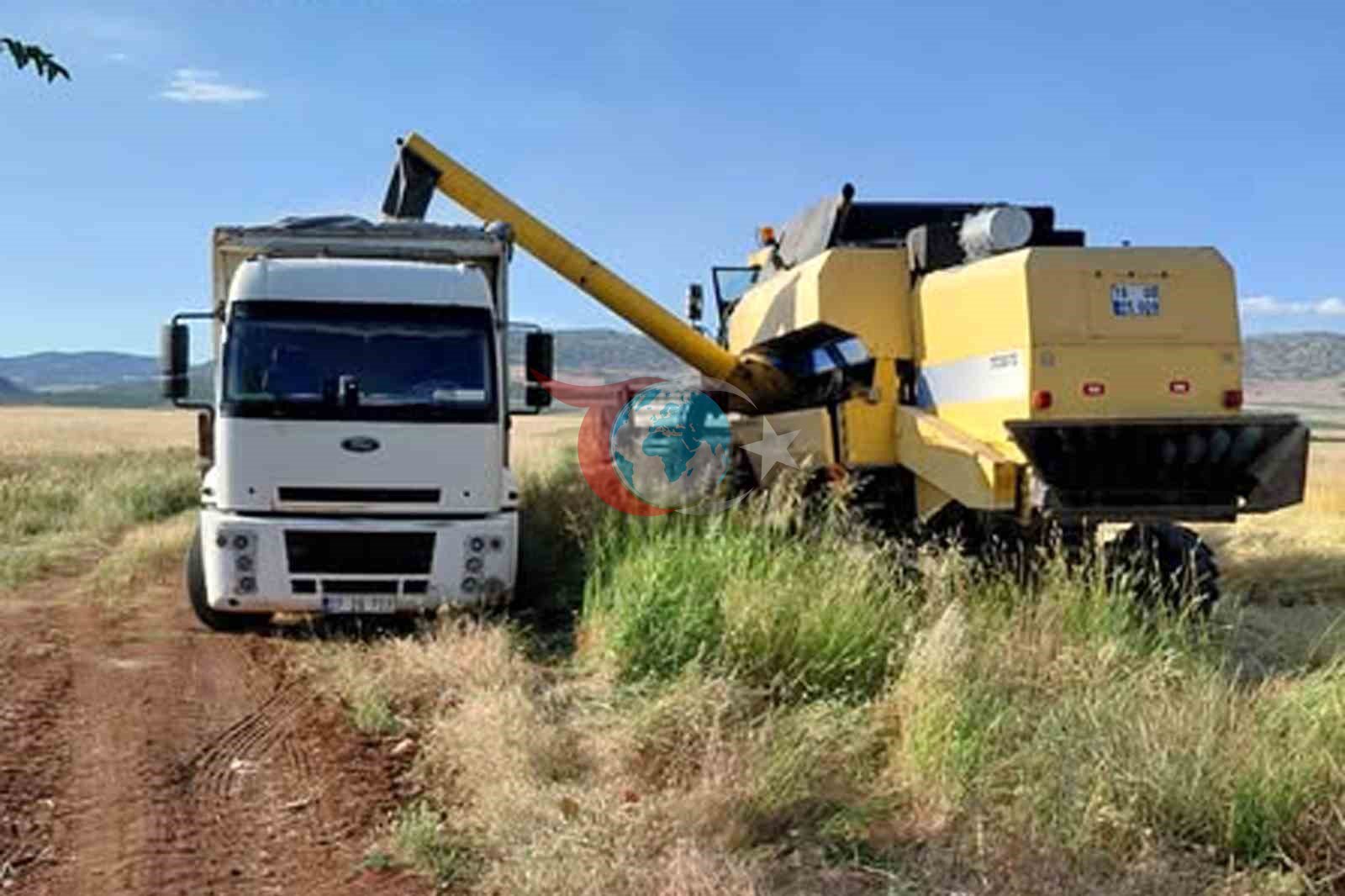 2026'da Araban Ovası'nda Arpa Hasadı Başladı