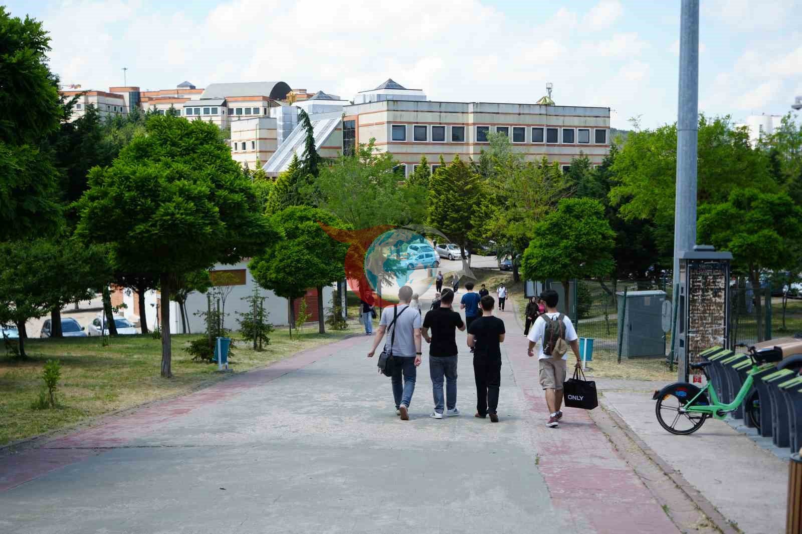 Kocaeli Üniversitesi'nde Sahipsiz Köpek Sorunu Devam Ediyor