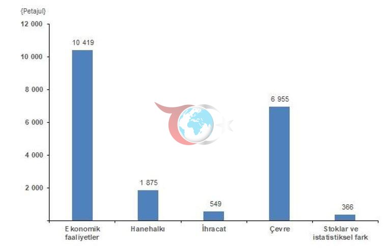 Ekonomik faaliyetler fiziksel enerjinin varış yerlerinde en büyük payı aldı