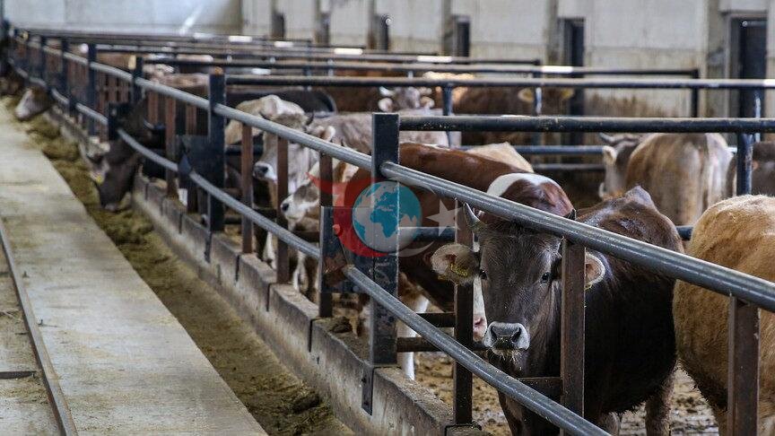 Tarım Bakanlığı hibe bombasını patlattı! 30 milyon euronun dağıtılacağı tarih belli oldu!