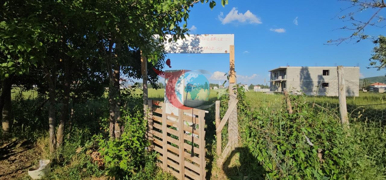 Tarladan halka çilek satışı: Aracıları aradan çıkardı vatandaş akın ediyor