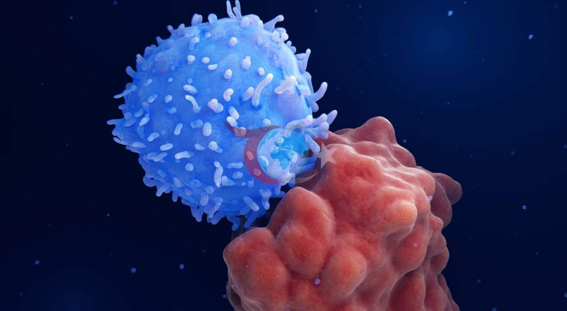 mRNA Teknolojisiyle Kanser Aşısında Devrim: Yeni Umutlar