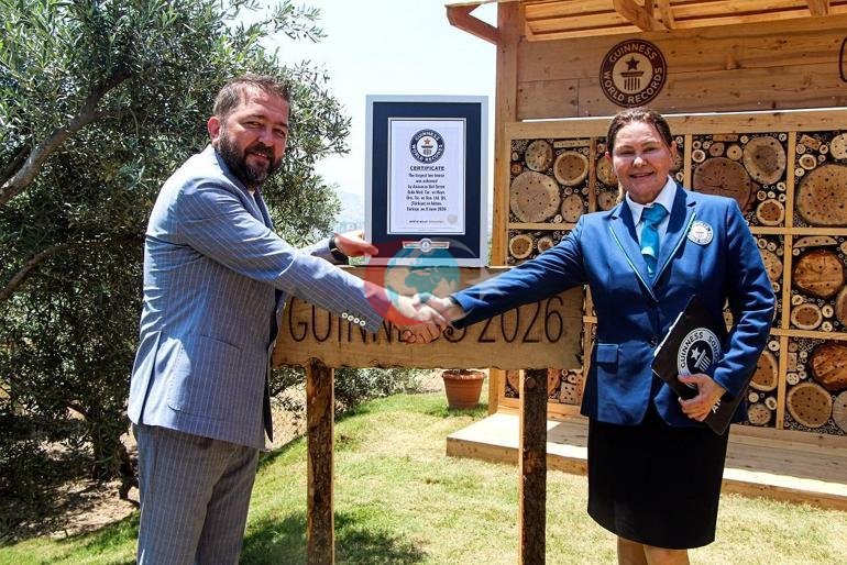 Adanada hayata geçirilen arı oteli dünyanın en büyüğü; Guinness tescil etti
