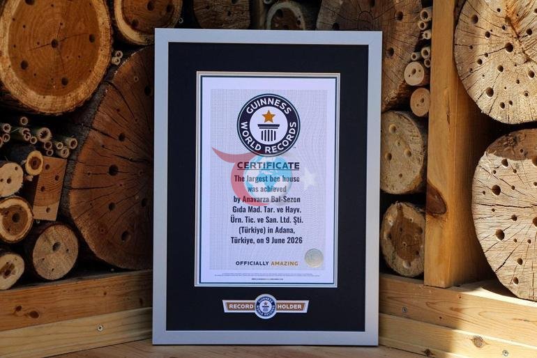Adanada hayata geçirilen arı oteli dünyanın en büyüğü; Guinness tescil etti