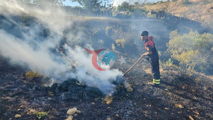 Siirt'te Fıstık Bahçesi Yangını: Kısa Sürede Büyüyen Alevler Kontrol Altında