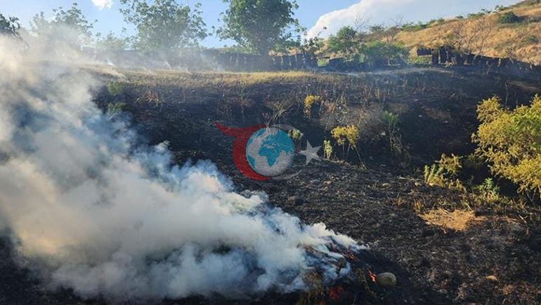 Siirtdə püstə bağını alov bürüdü. Zərər bir neçə dəqiqə ərzində artdı
