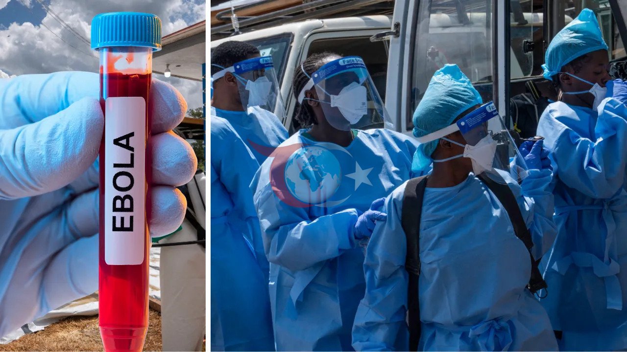 DSÖ'den Ebola Salgınına Dair Ciddi Uyarı: Mücadele Zorlaşıyor