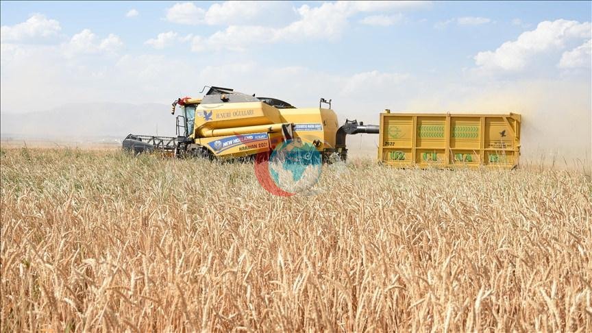 Nazir Yumaklı açıqladı: May ayında 375,6 milyon lirə qrant ödənilib
