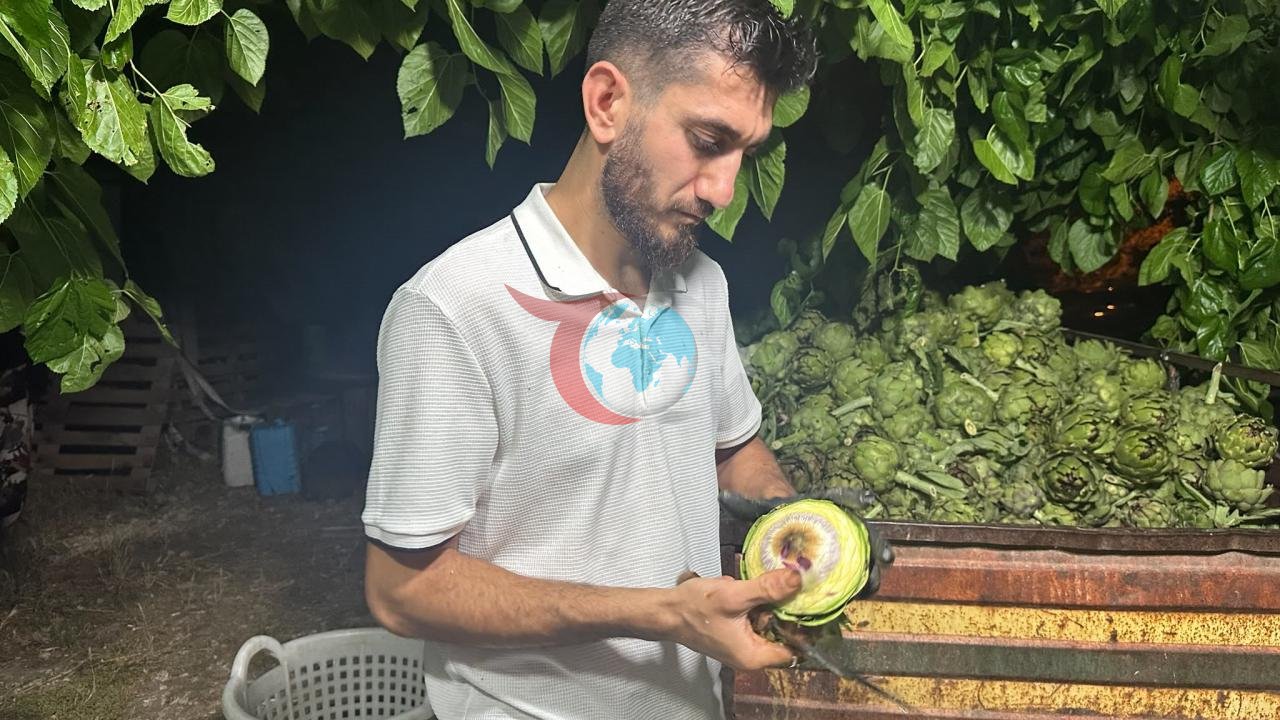 Bursa'nın Enginar Soyucuları: Aile Mesleğinden Servet Kazanıyorlar
