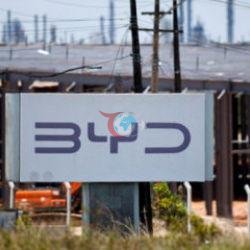 BYD larzaga keldi: U 97 ming avtomobilini zudlik bilan chaqirib oladi