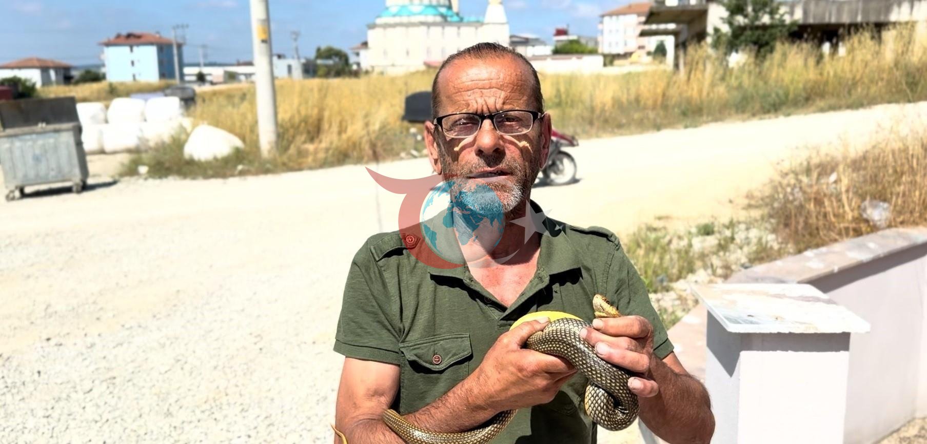 Kaynarca'da Yılanları Çıplak Ellerle Yakalan Üstün
