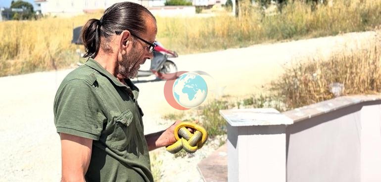 Sakaryada ilan görəndə ağlına yalnız bir ad gəlir. Onu çılpaq əli ilə tutur və təbiətə salır=